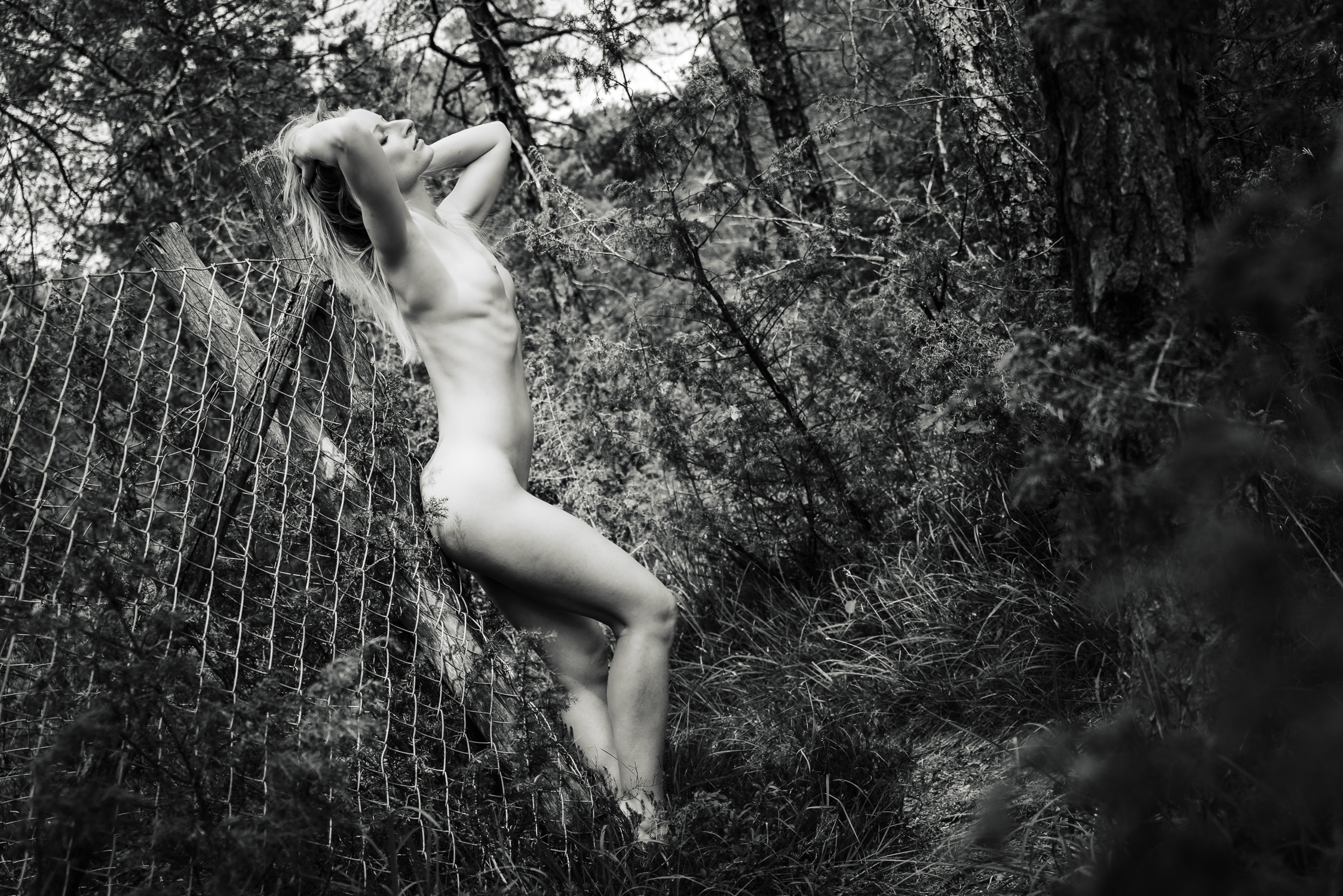 Akt in der Pupplinger Au 342